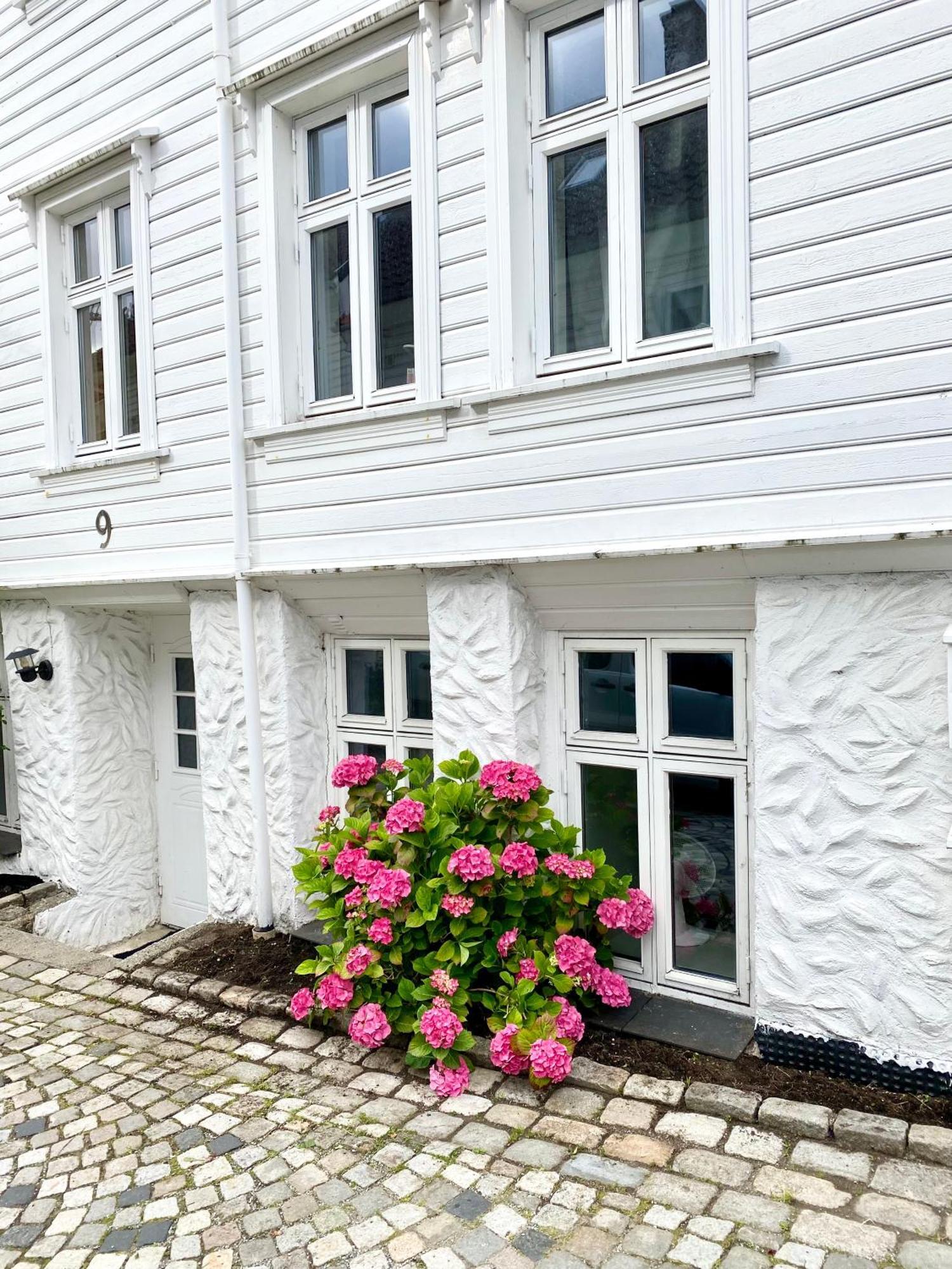 Nedre Stolen Apartment Bergen Dış mekan fotoğraf