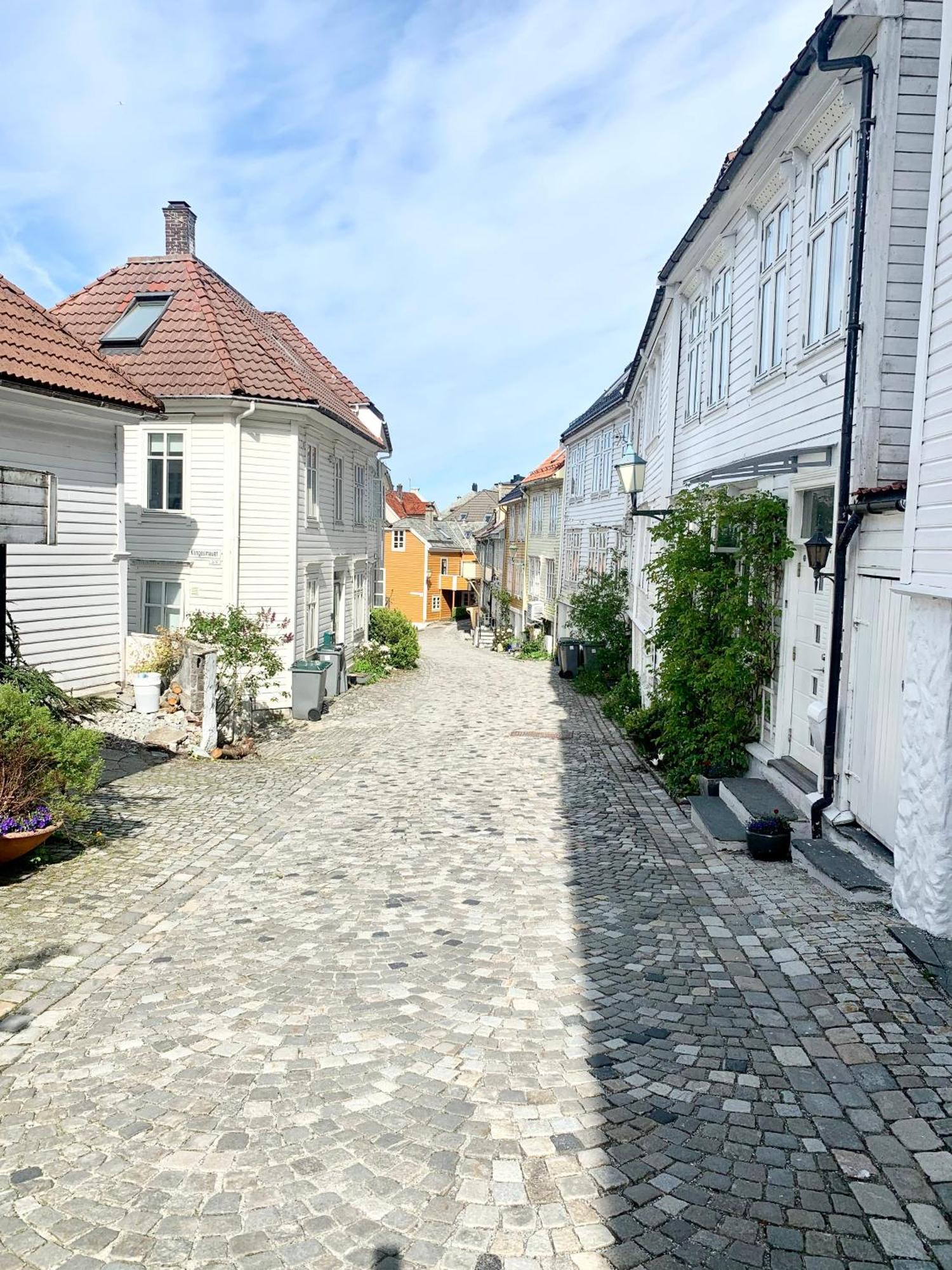 Nedre Stolen Apartment Bergen Dış mekan fotoğraf