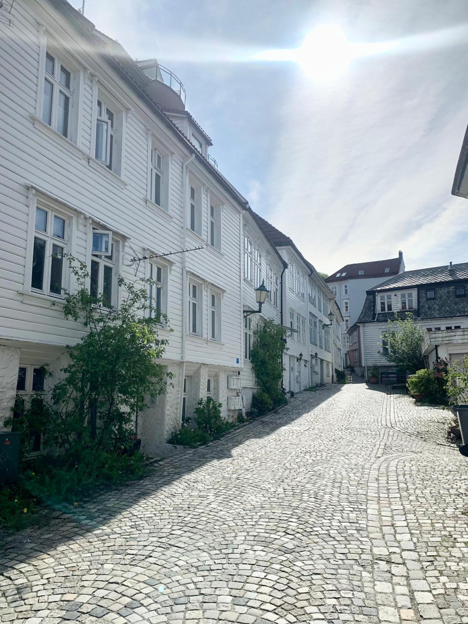 Nedre Stolen Apartment Bergen Dış mekan fotoğraf