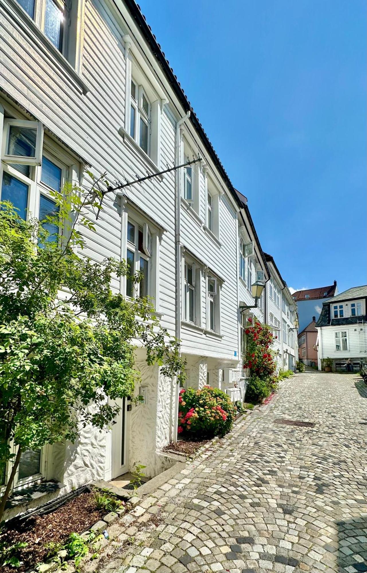 Nedre Stolen Apartment Bergen Dış mekan fotoğraf